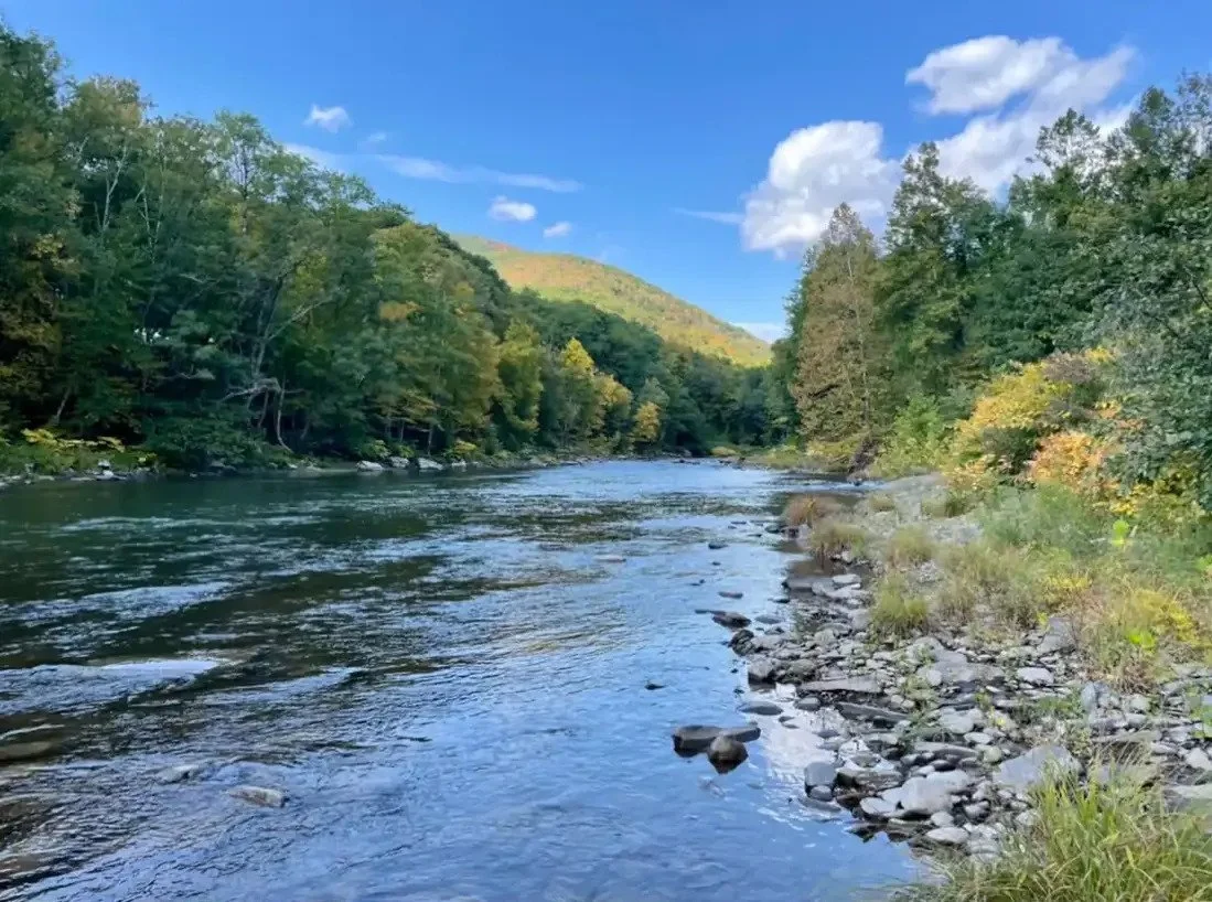 A peaceful river flowing through a forested valley with a hill in the background and a partly cloudy blue sky.