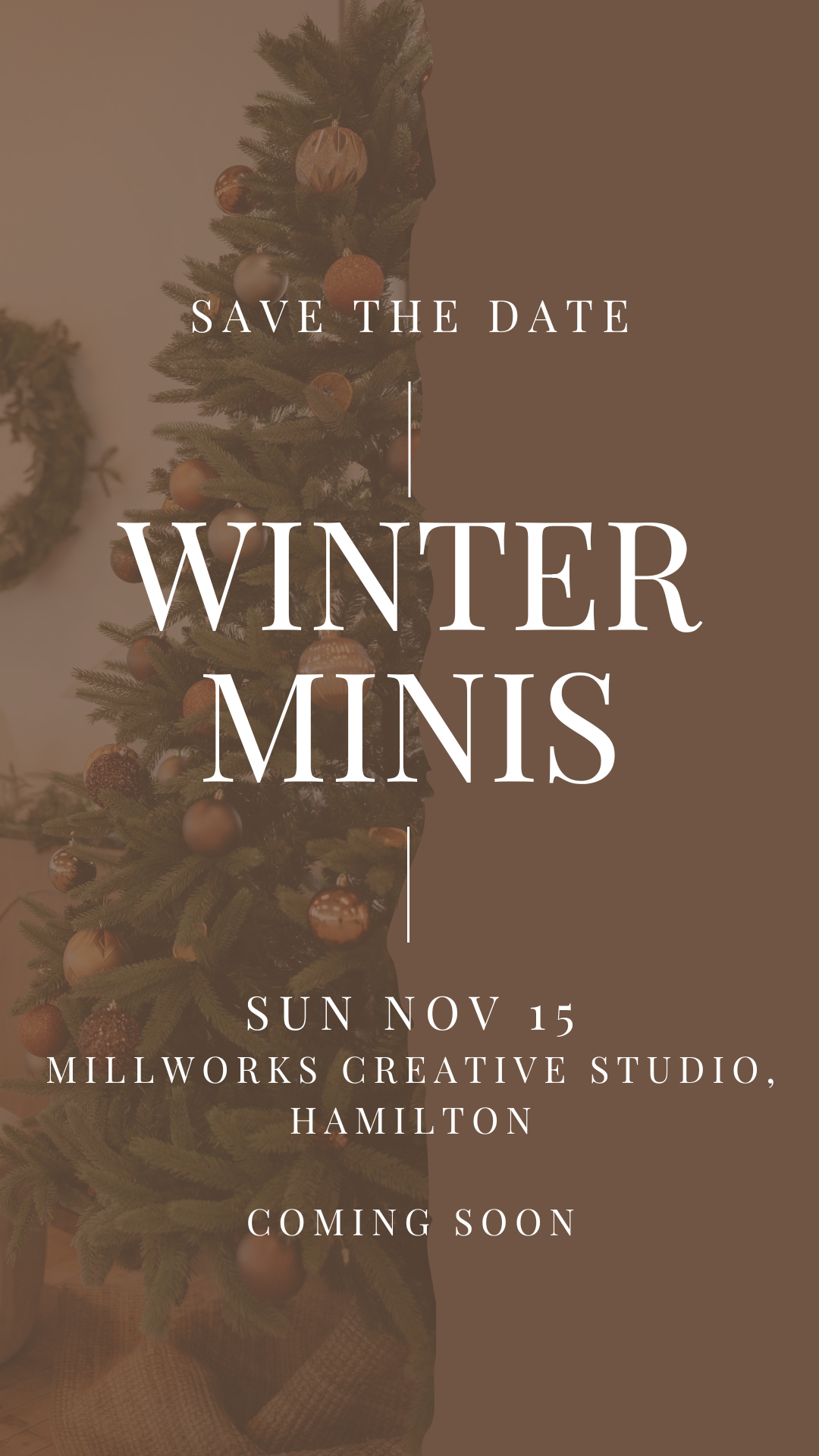 CHRISTMAS MINI SESSIONS IN HAMILTON