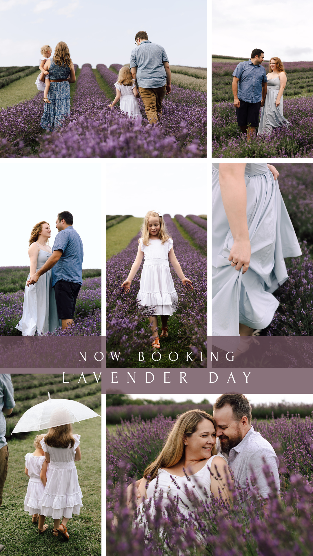 Lavender Field Photographer in Ontario
