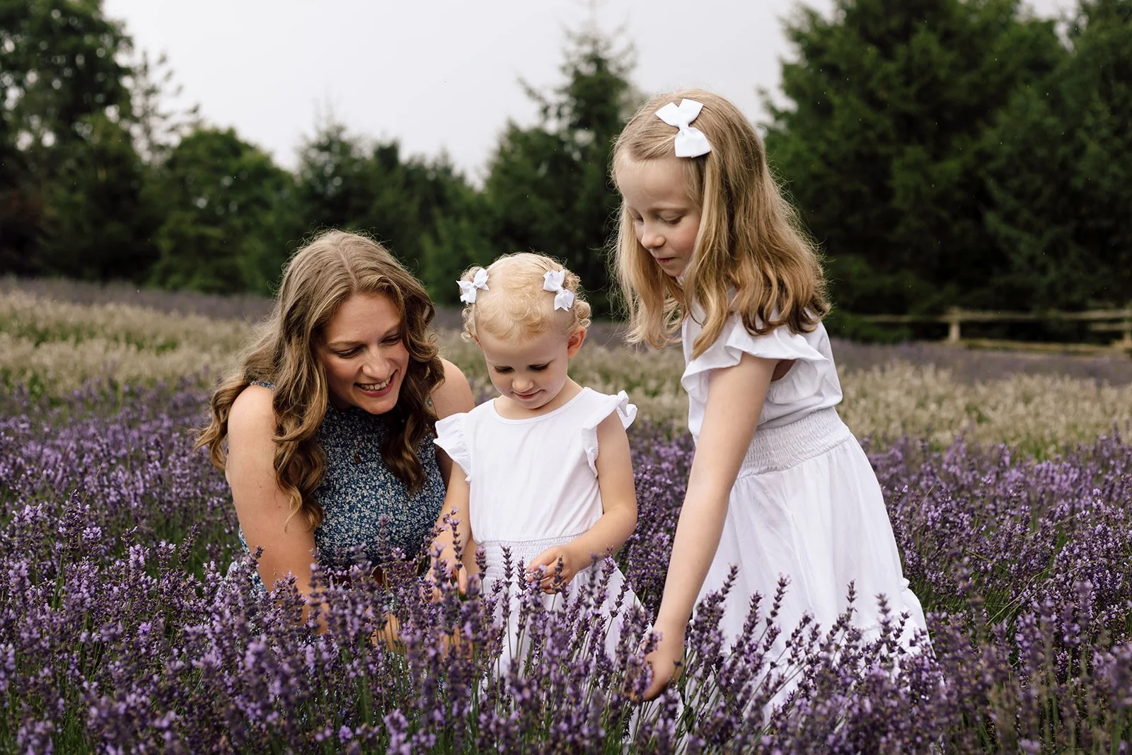 Mom and daughters in a Lavender Feild in Ontario