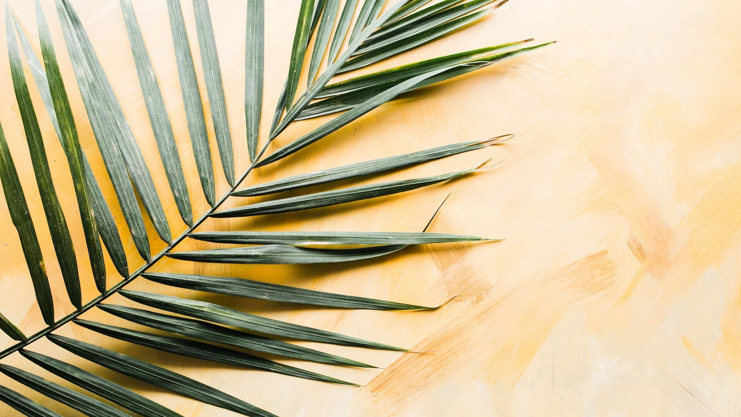 GET READY — Palm Sunday at Immanuel 🌿