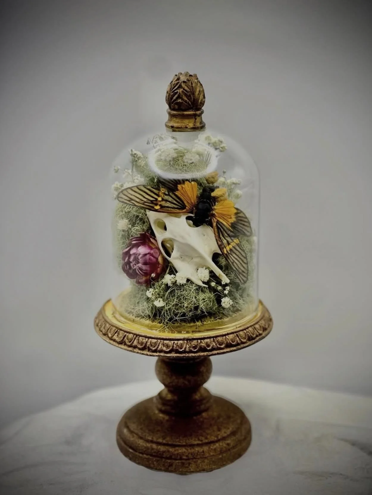 VENDOR SPOTLIGHT - Withered Fern:

PNW native. Life long forest forager of things once living. Ethically sourced and collected with vintage inspiration to create moody, whimsical pieces. 

#ghostsofsummer #ghostsofsummerpdx #halloween #portlandoregon