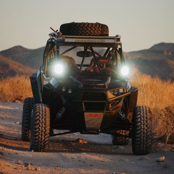 rigid_pair_adapt_xp_lit_up_web-02.jpg
