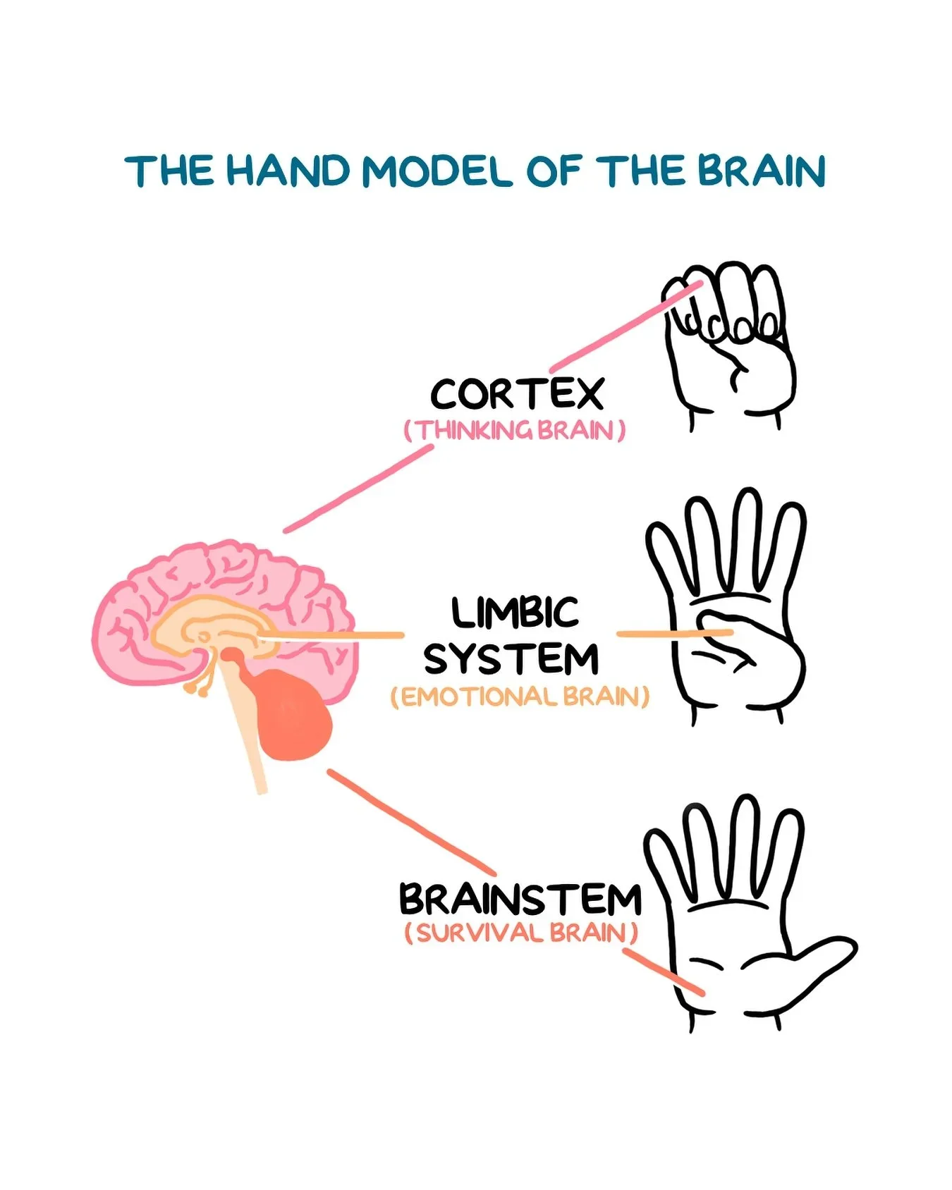 What Happens in Your Brain When You Get Triggered? (And Why You Feel Like a Different Person)