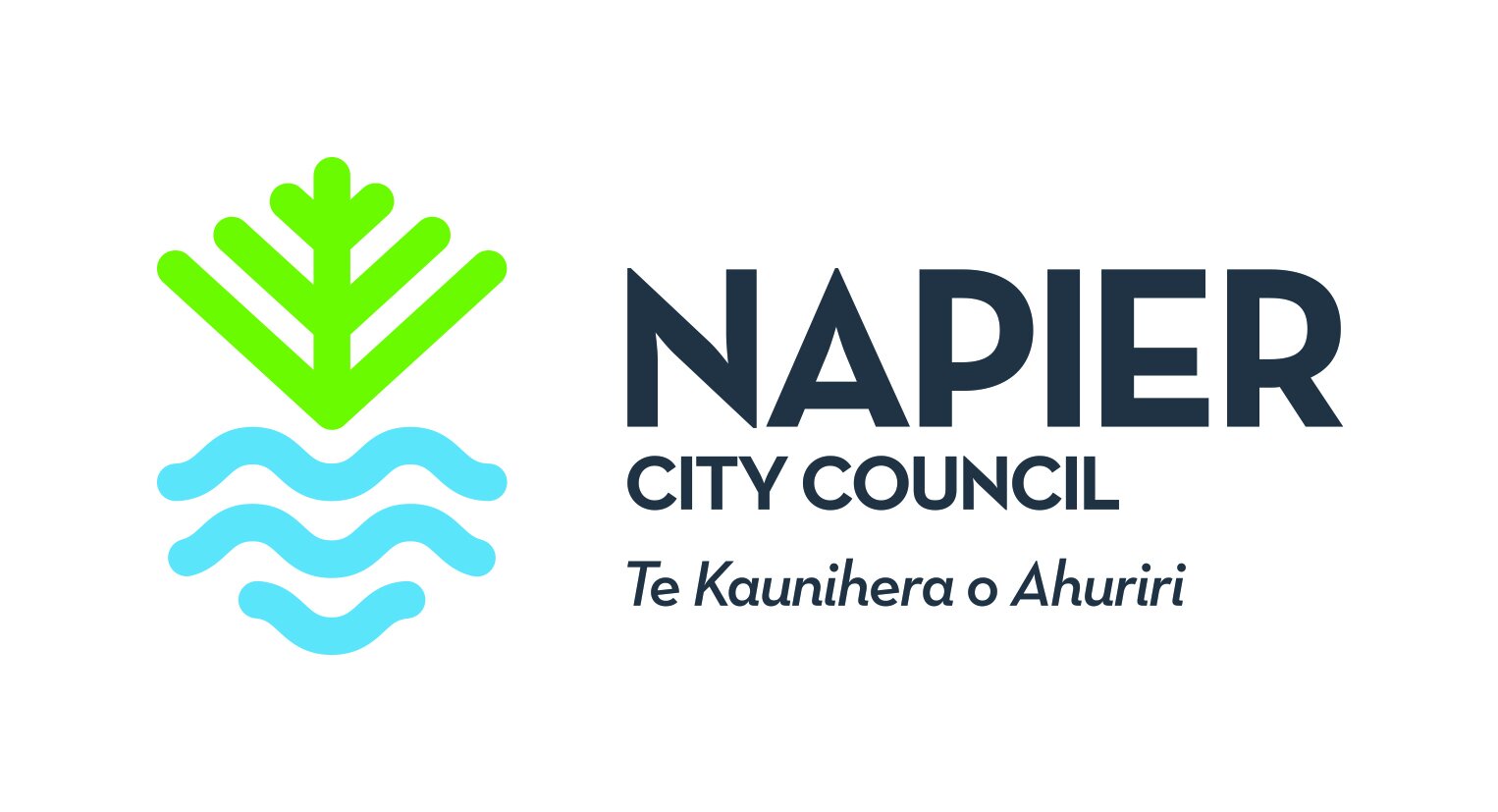 Napier City Council.jpeg