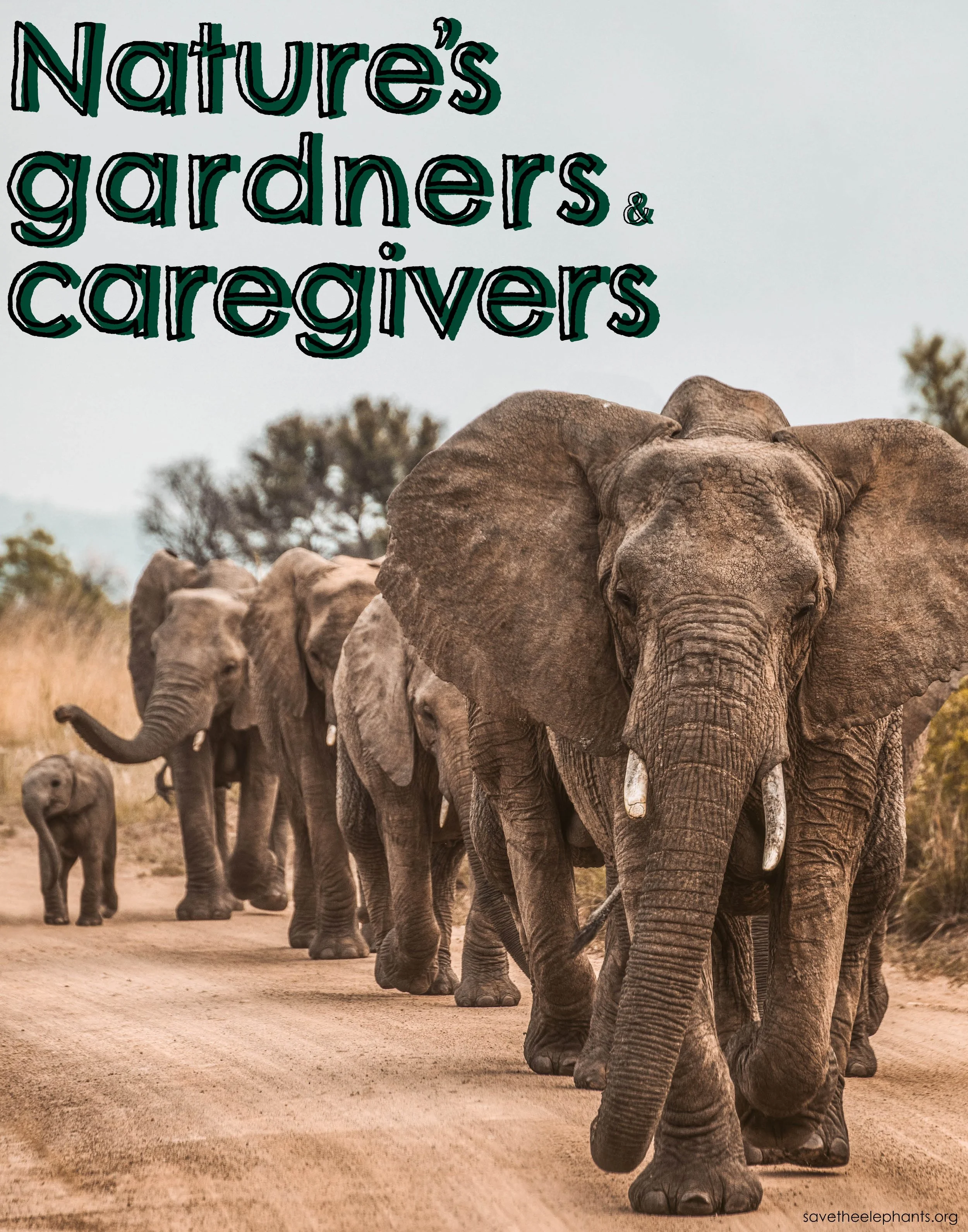 Positive Poster-Save the Elephants