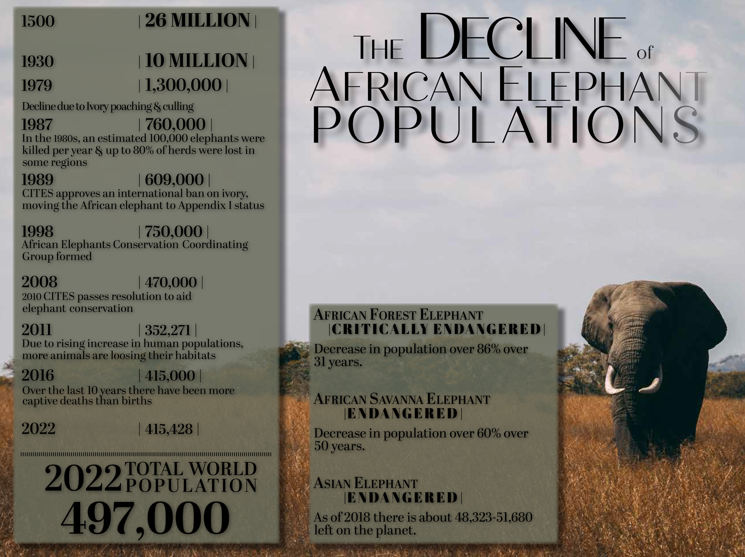 Timeline Magazine Full-Spread