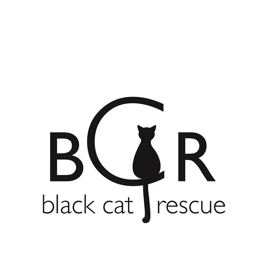 blackcat_logo-sqr.jpg