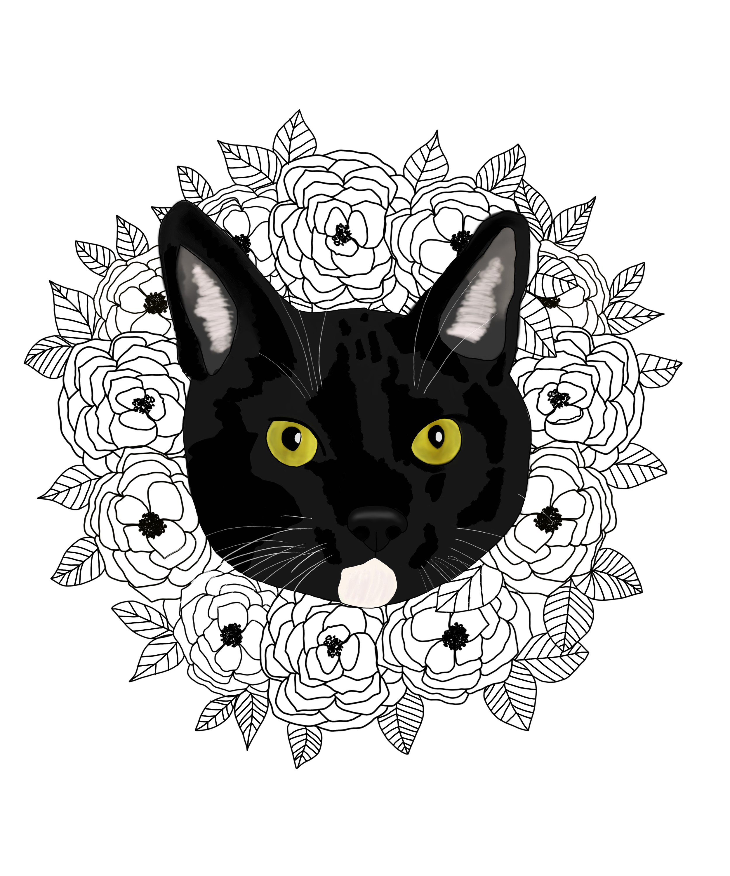 nicky.png