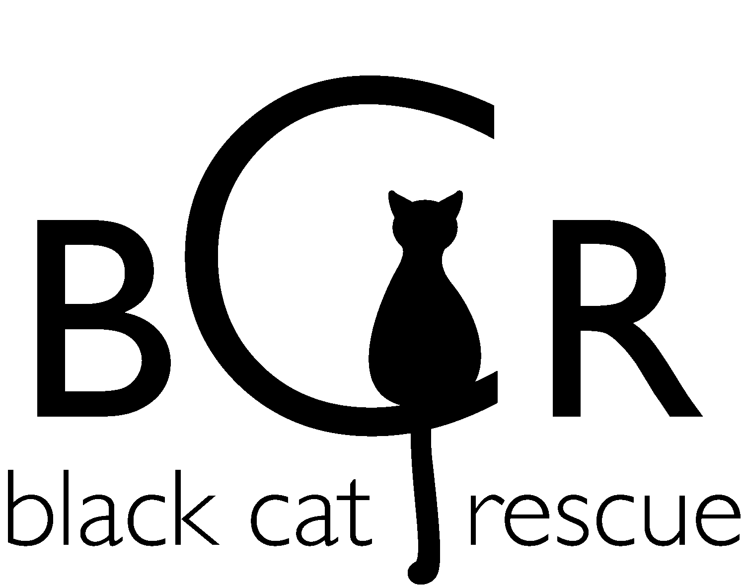 Black Cat Rescue