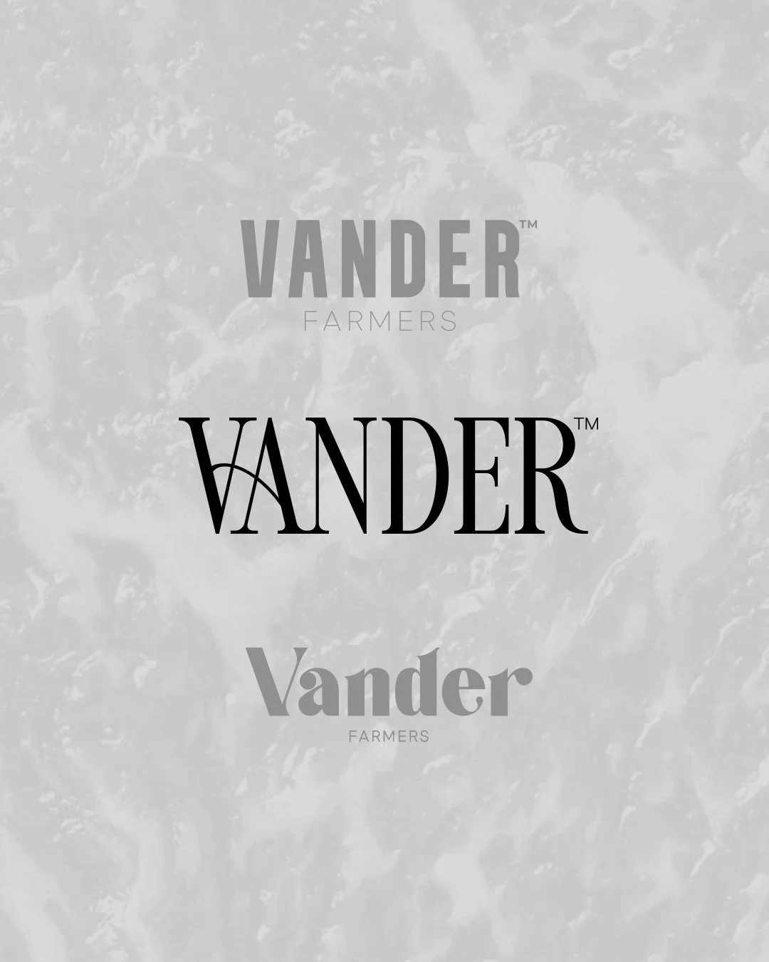 Vander 02.jpg