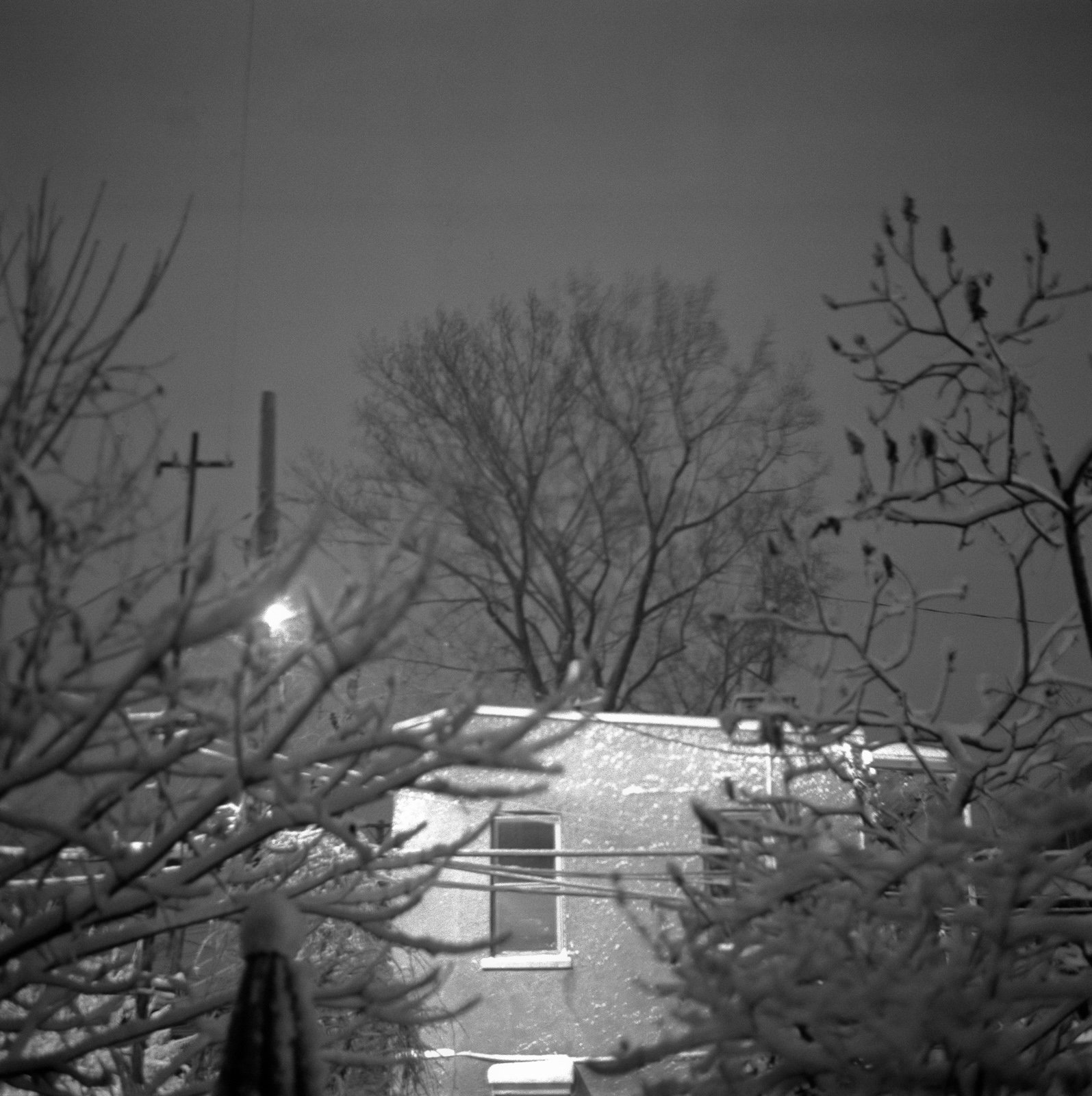 Michael Willöfer_Half the Sky