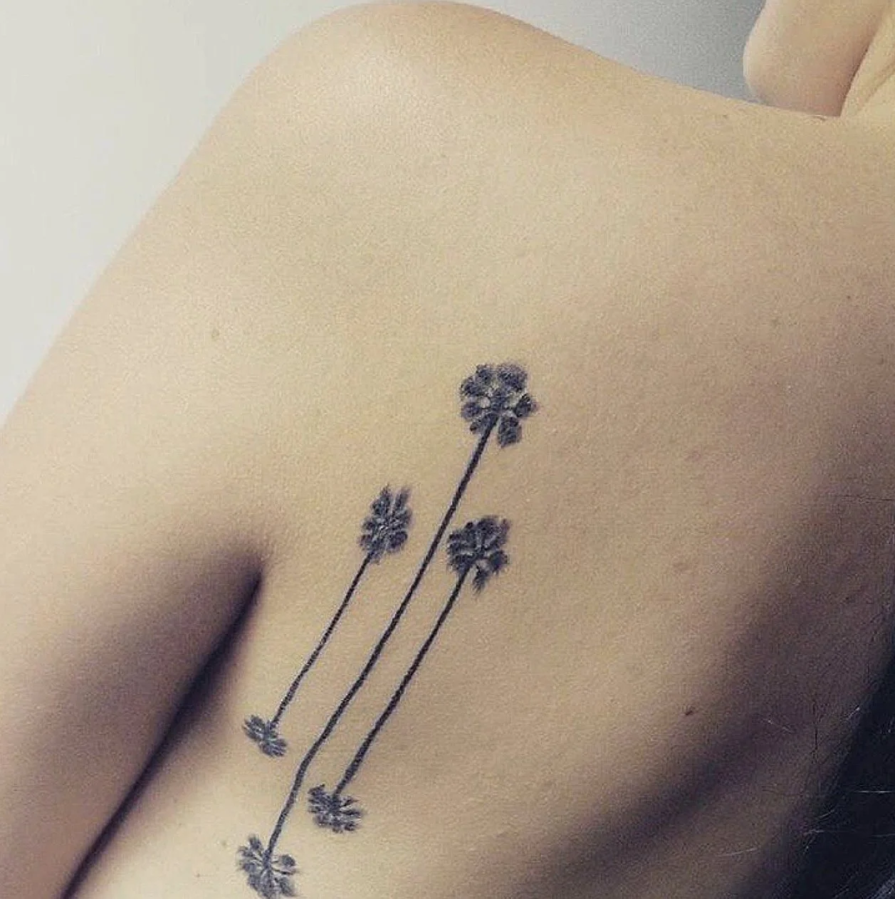 tat.jpg
