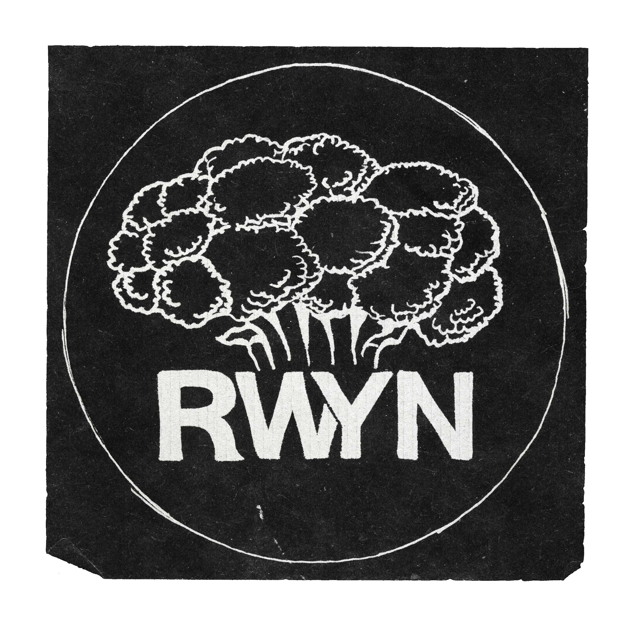 RWYN_clear.png