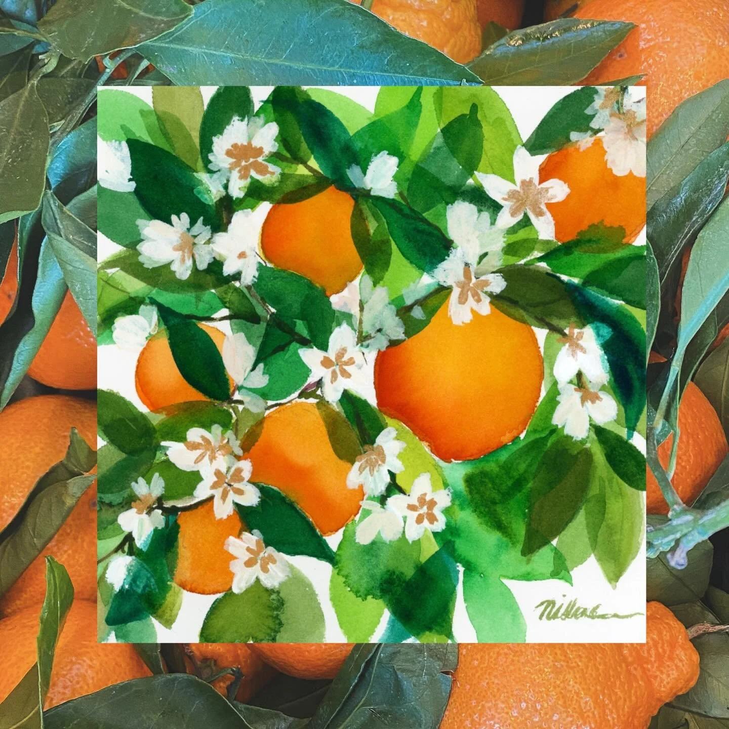 Excited to share that my original watercolor painting, &ldquo;Neighborhood Orange Tree,&rdquo; has sold! This is one of my best-selling prints, so I&rsquo;m so happy that the original has found its forever home 🍊🥰🍊 you can find more original artwo