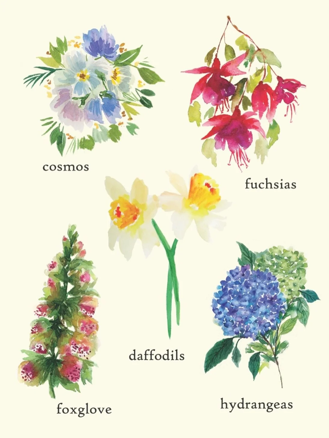 Some of the flowers I see in my neighborhood!! Which one is your favorite?? 🌺🌼🪻🌸🩵
.
.
.
.
.
.
#flowerloversdaily #watercolorflorals #hydrangeaseason #foxgloves #watercolorflowers