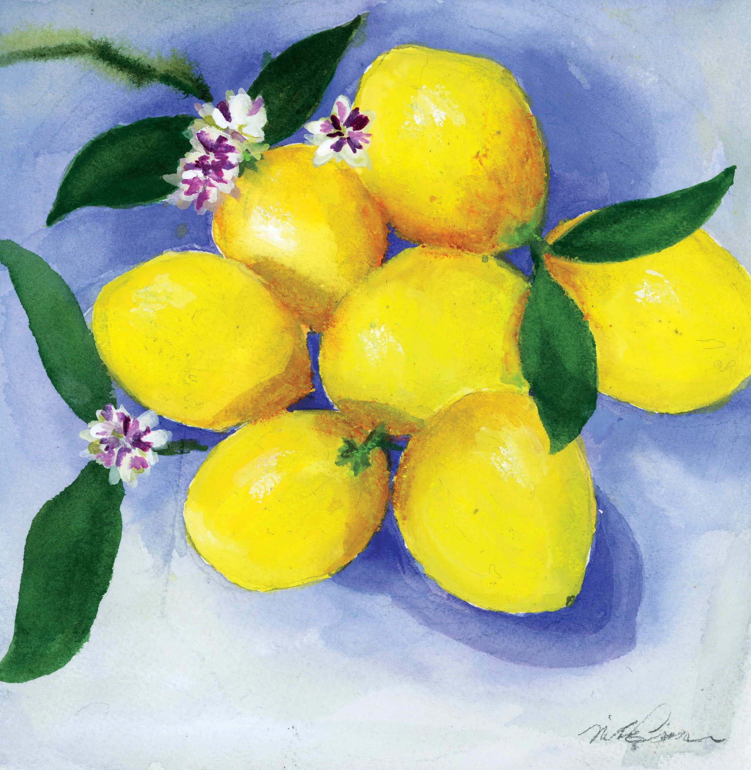 Lemon artwork. Lemon blossoms. Watercolor lemons.