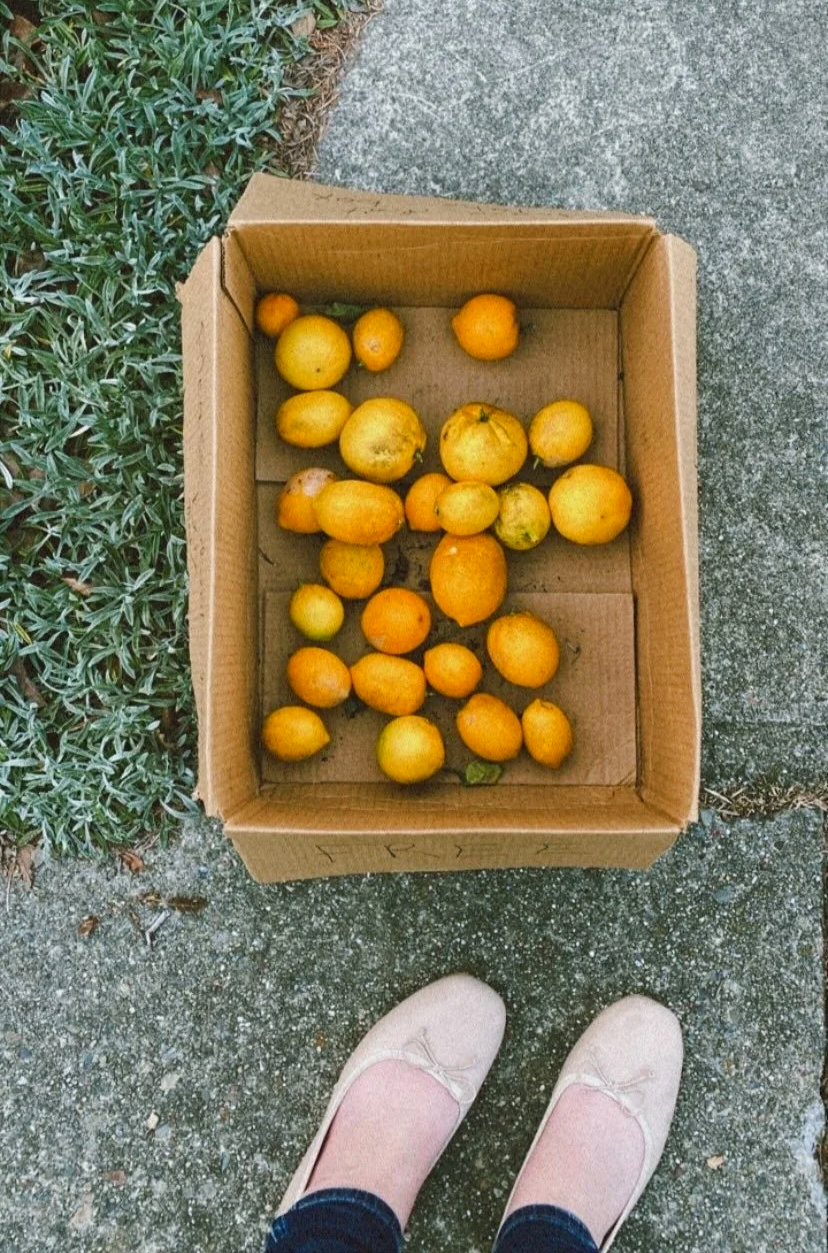 Box of lemons; lemon photos