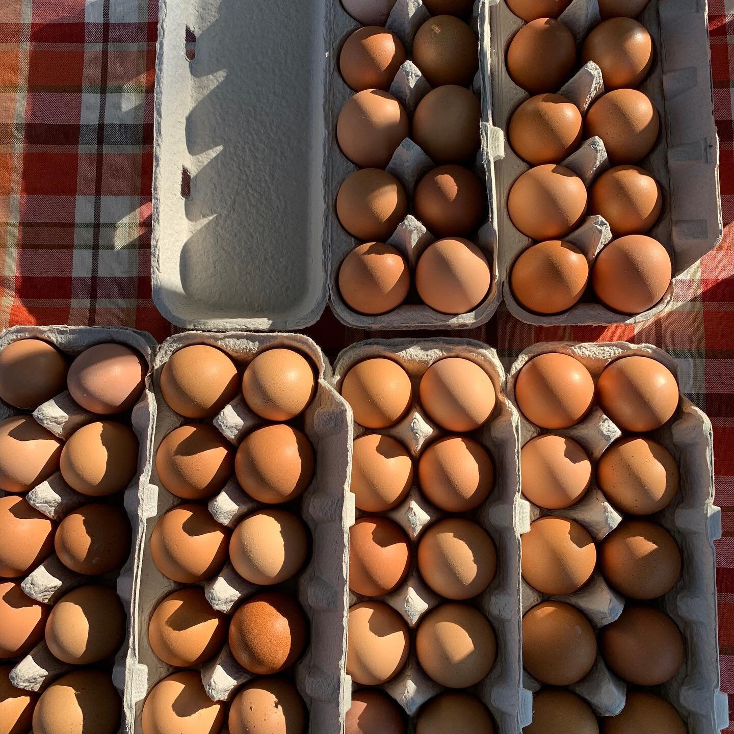 Fresh eggs from @urban.freshfarm 🥚