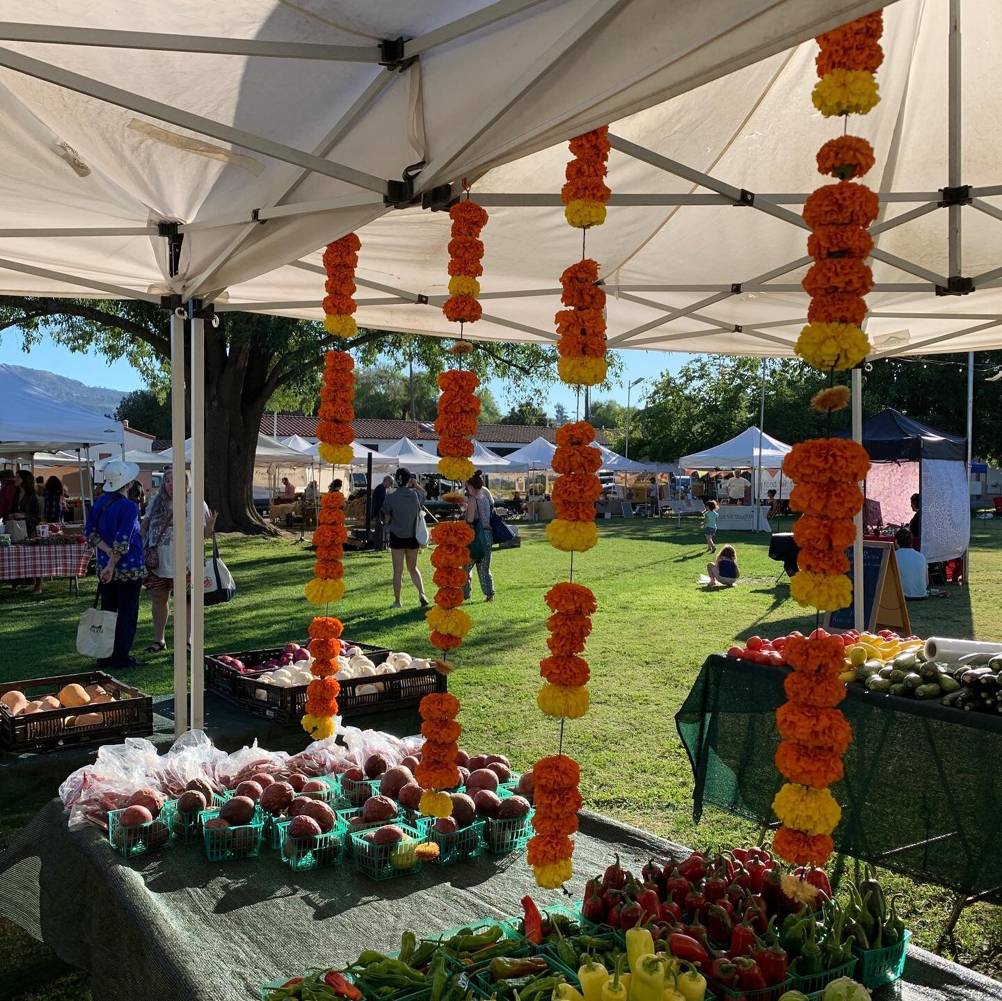It&rsquo;s market day! It&rsquo;s going to be a beautiful sunny day after a nice rain fall 🌞 

Local artists playing this evening: Shylah Ray and Dave Cipriani &amp; Tracy Hui

we have kids corner with @worldpeacetribe today!! 3:30 pm , free to the 