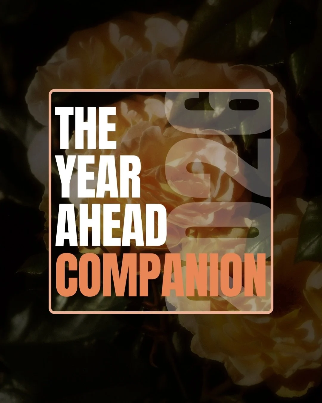 Want an astrologer walking by your side throughout 2026? This package is everything you need to plan ahead, dig in, look back, or simply learn the beautiful intricacies of your natal chart. 

✨ Check out this year-long offering on my website 🔗 in bi