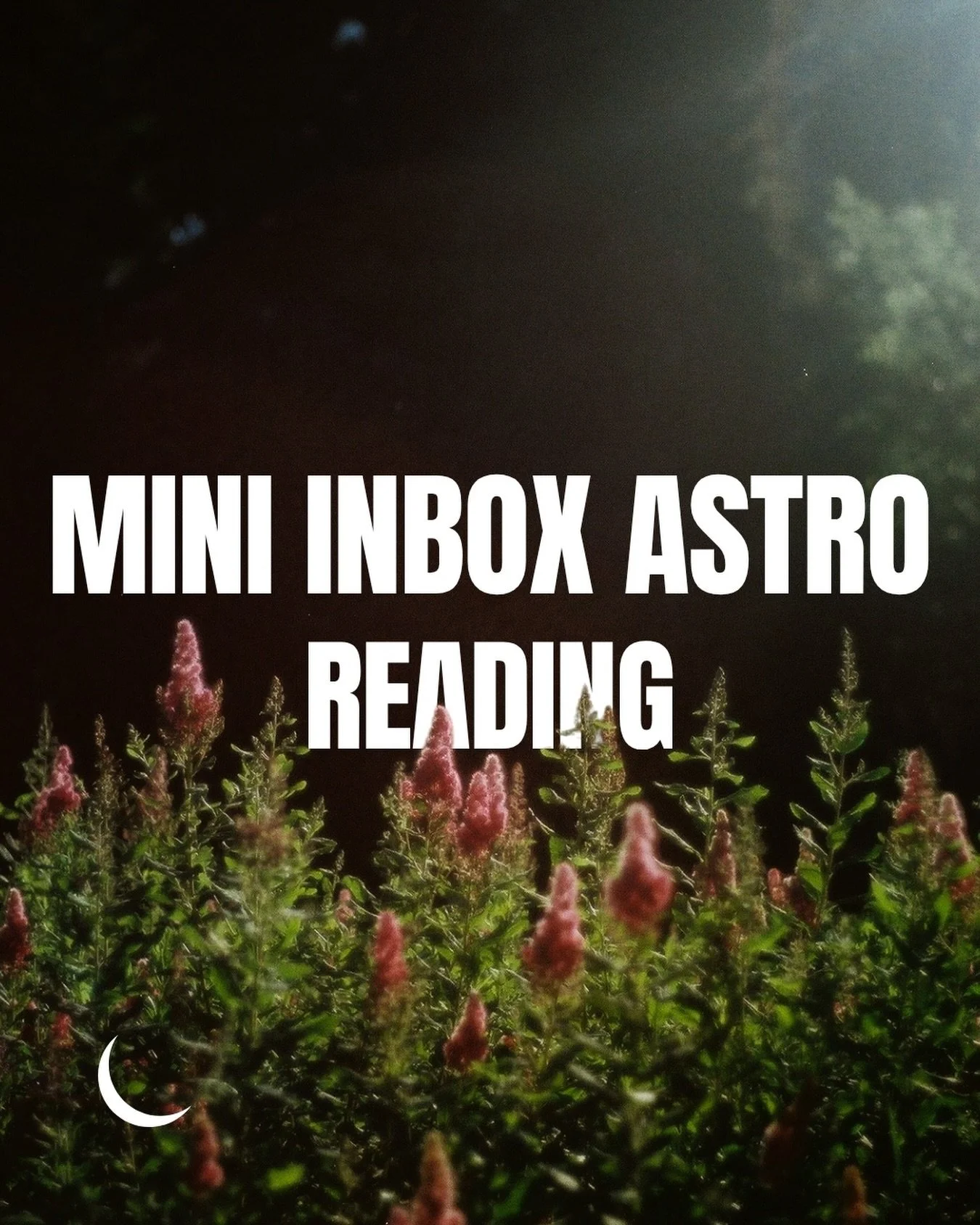 A reading for those moments you have a quick question, or need support during a transit. Delivered within 5 days of your scheduled time, straight to your inbox as a 20-30 minute unlisted YouTube video! 

Grab a 💌 Mini Inbox Astro Reading anytime fro