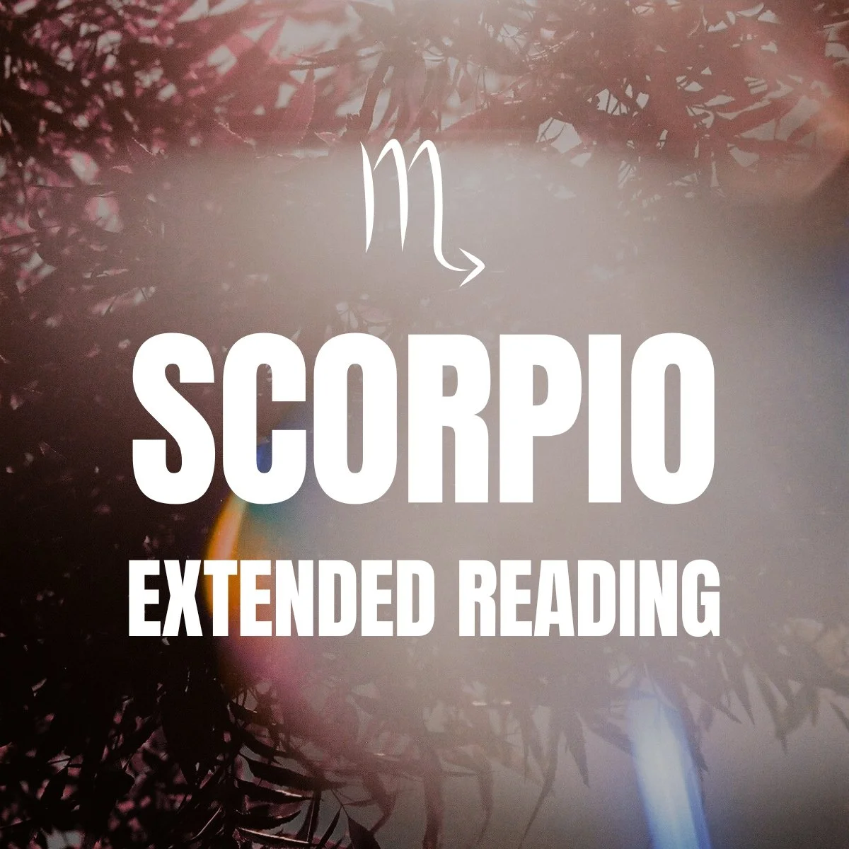 Scorpio Extended Reading Cover.jpg