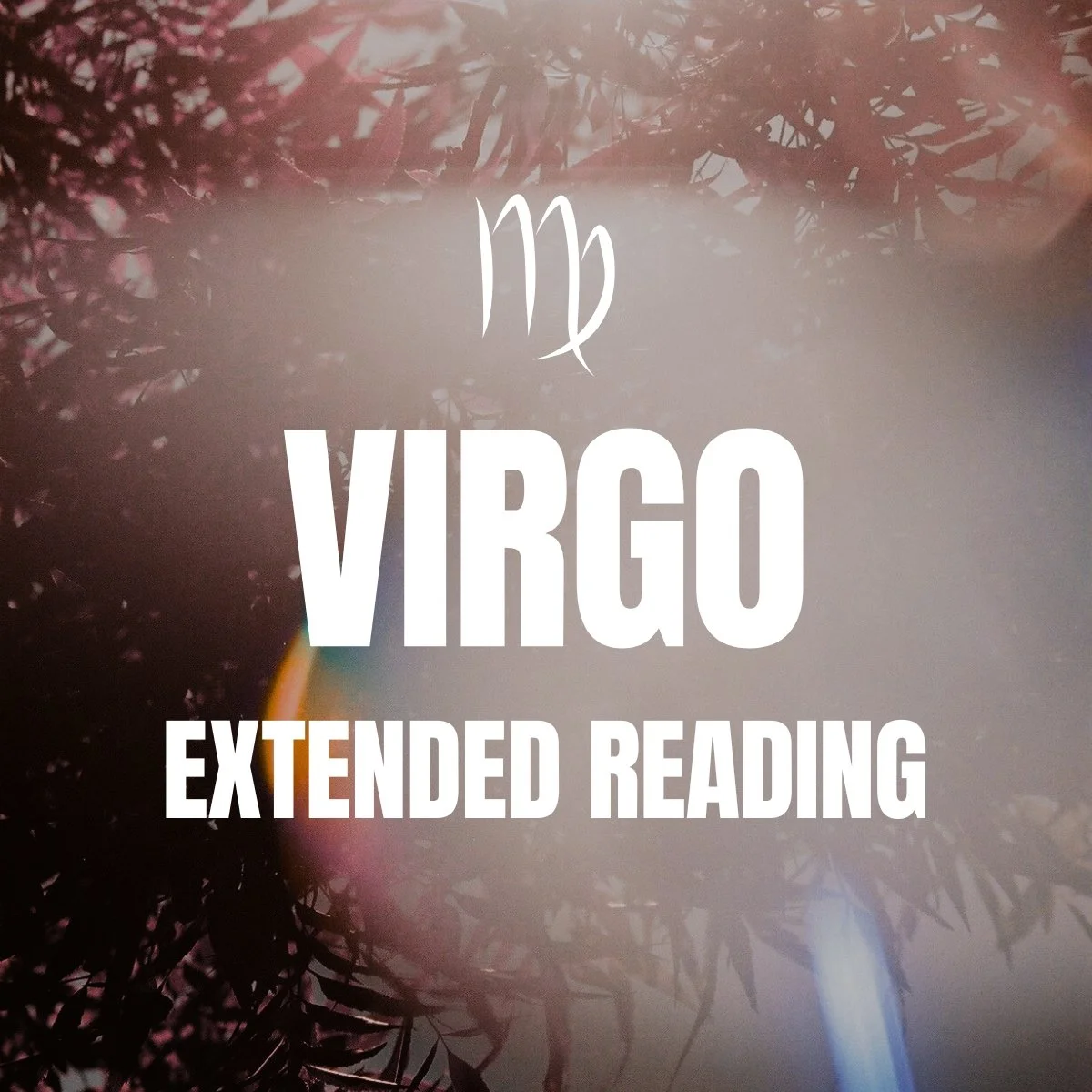 Virgo Extended Reading Cover.jpg