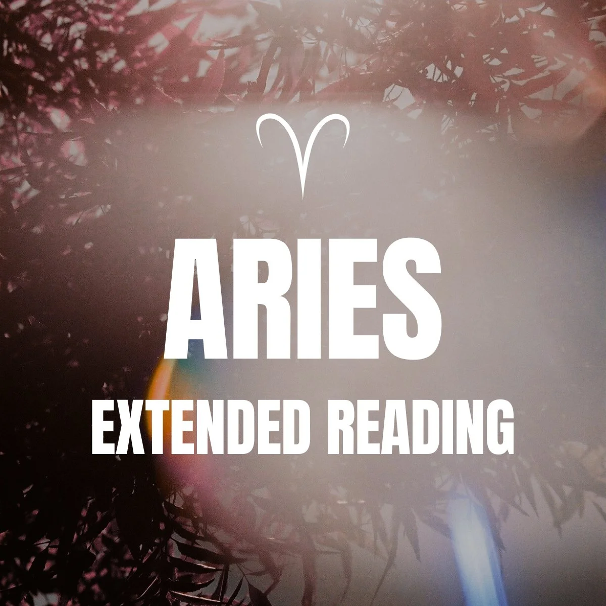 Aries Extended Reading Cover.jpg
