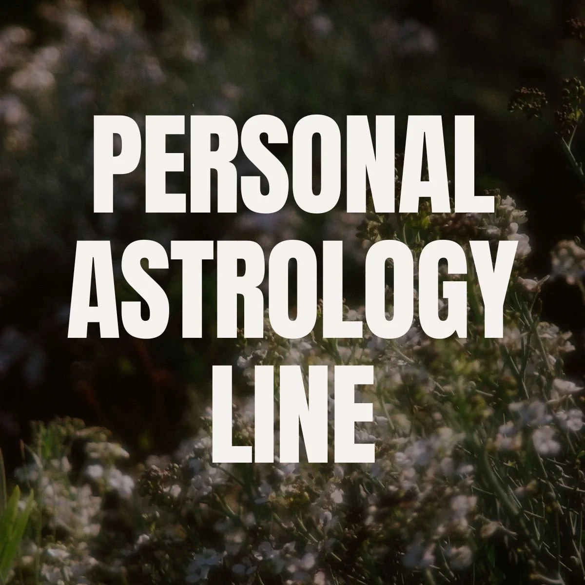 Personal Astrology Line - Kitt Penfold Astrology Podcast.jpg