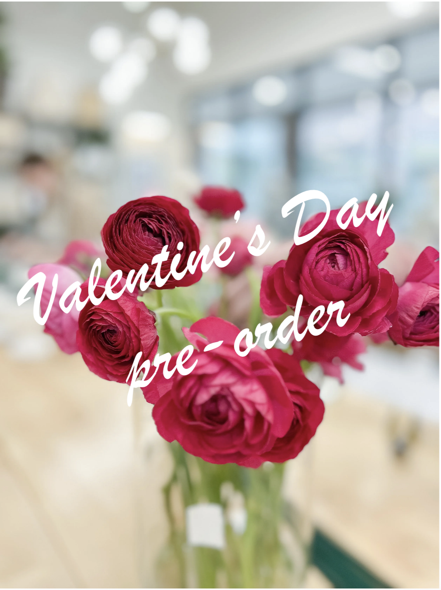 Screenshot 2026-01-03 at 8.40.41 PM.png