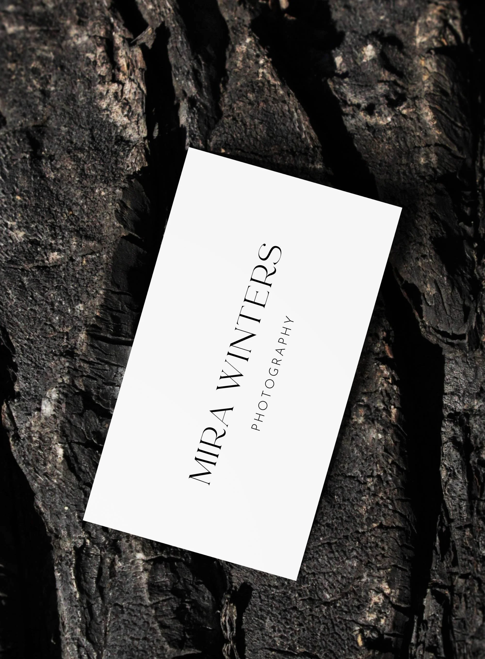 DFM Logo Mockup - Mira Winters - 033 6.jpg
