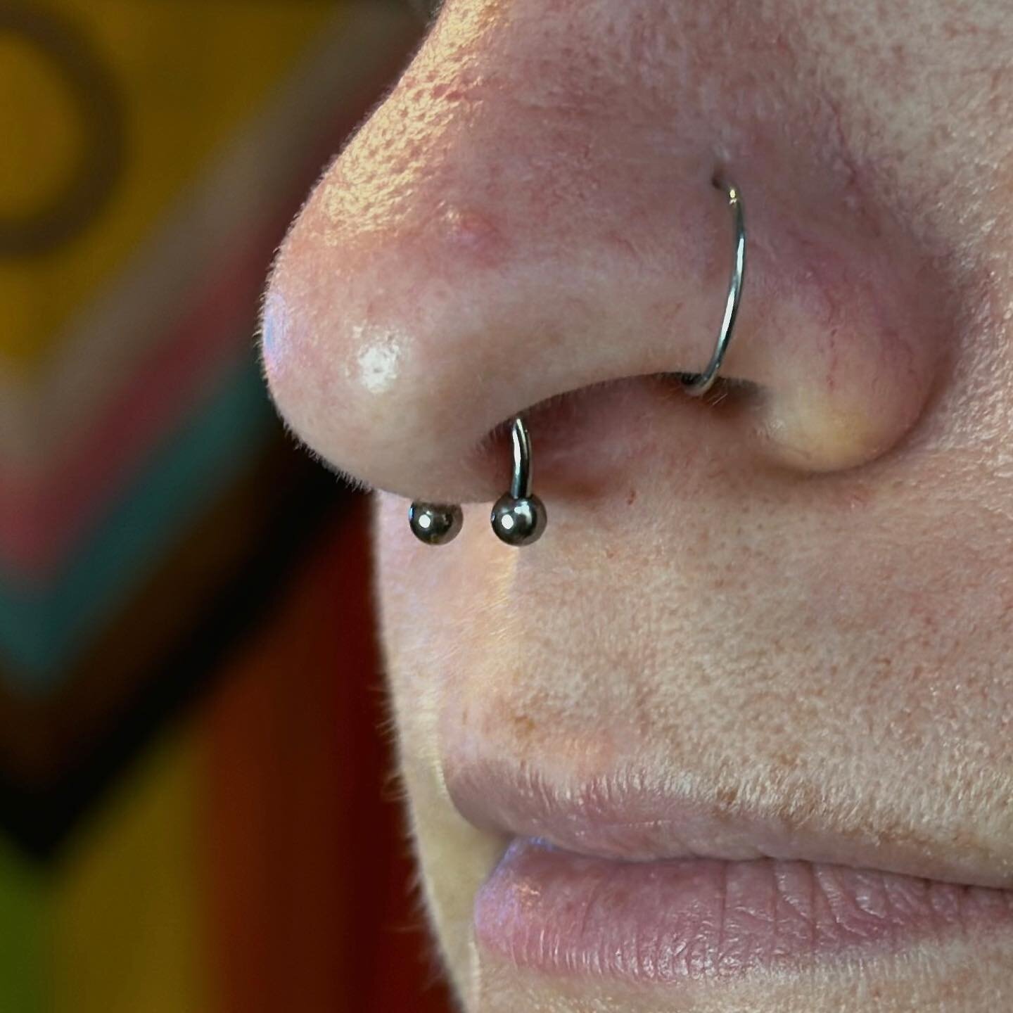Beautiful classic septum piercing in Seattle; pierced using @stilettopiercingsupplies 
.
I&rsquo;ll be attending the UKAPP conference in Manchester to further my body modification education! 
.
Space is limited October and November in Seattle, schedu