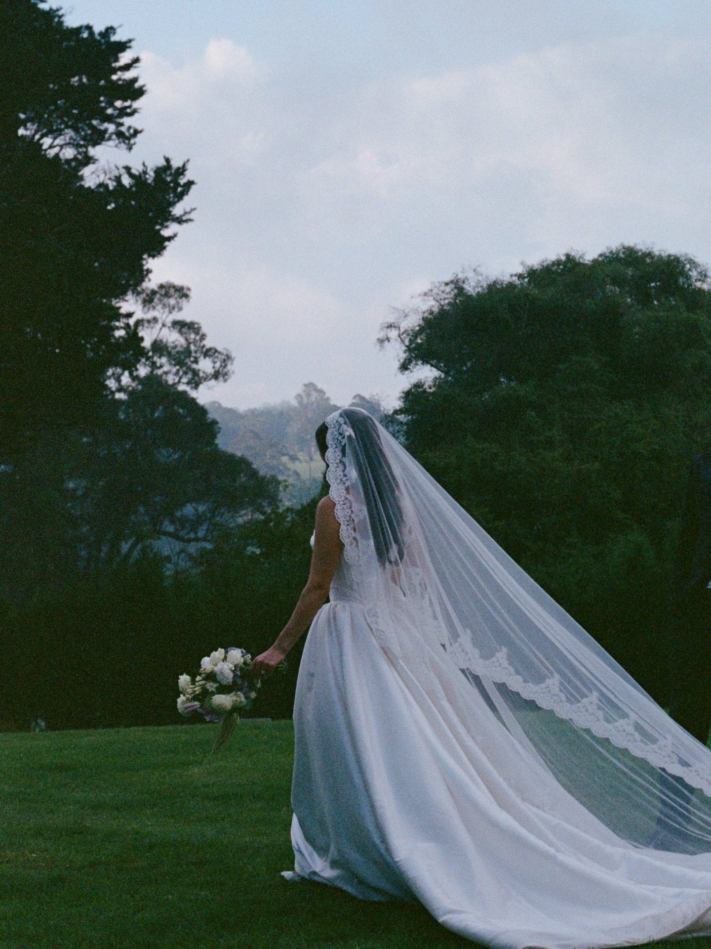 No better feeling then getting film back from the lab 🥲📷 @ikigaifilmlab 

Taylah and Aaron on 35mm 🤍

Venue: @ardourmiltonpark 
Photo + video: @amaraweddings 
This film &amp; content: @thelovers.film
Hair: @bridalglowco Eva
Makeup: @binxmakeup
Flo