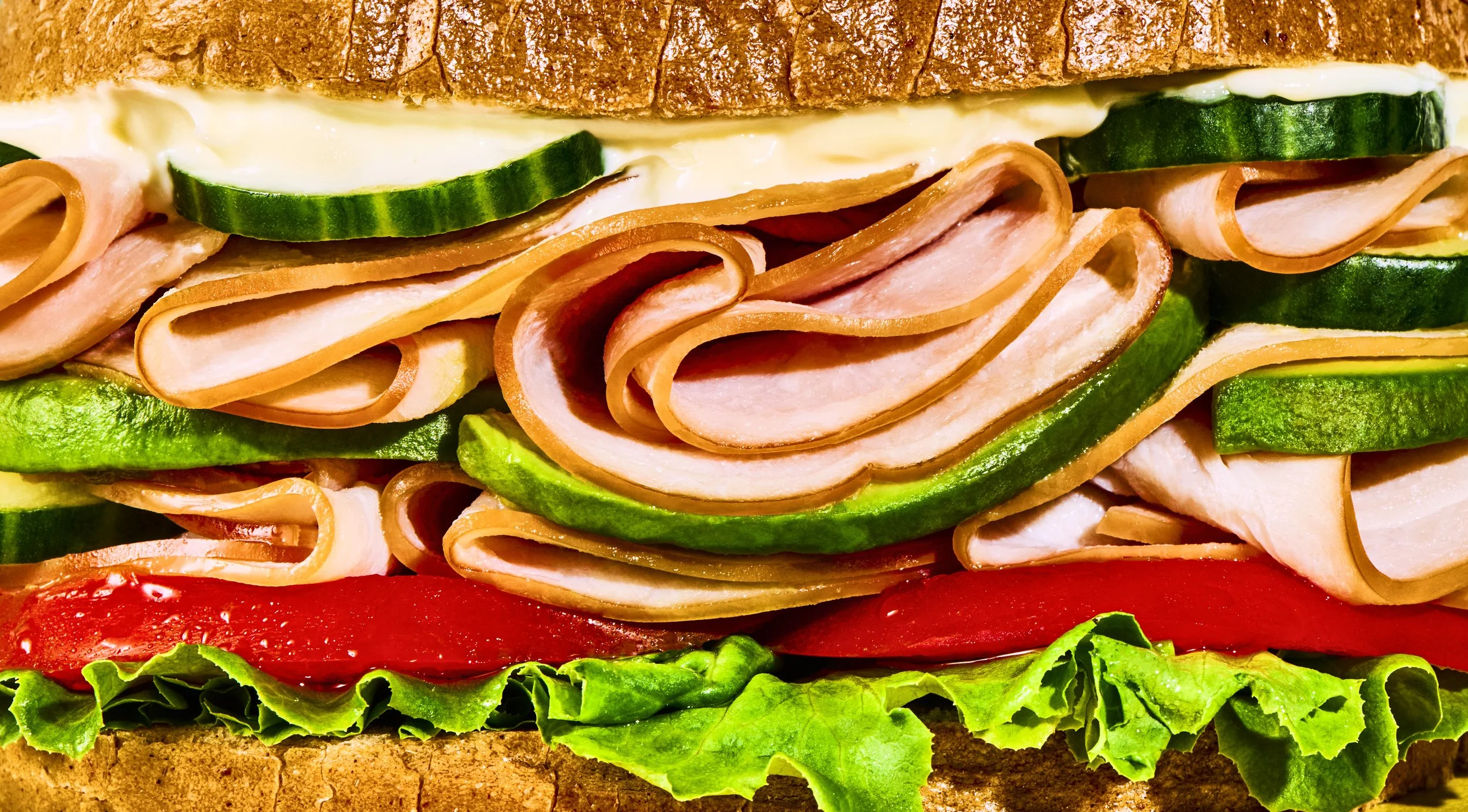 TurkeySandwichCloseUp.jpg