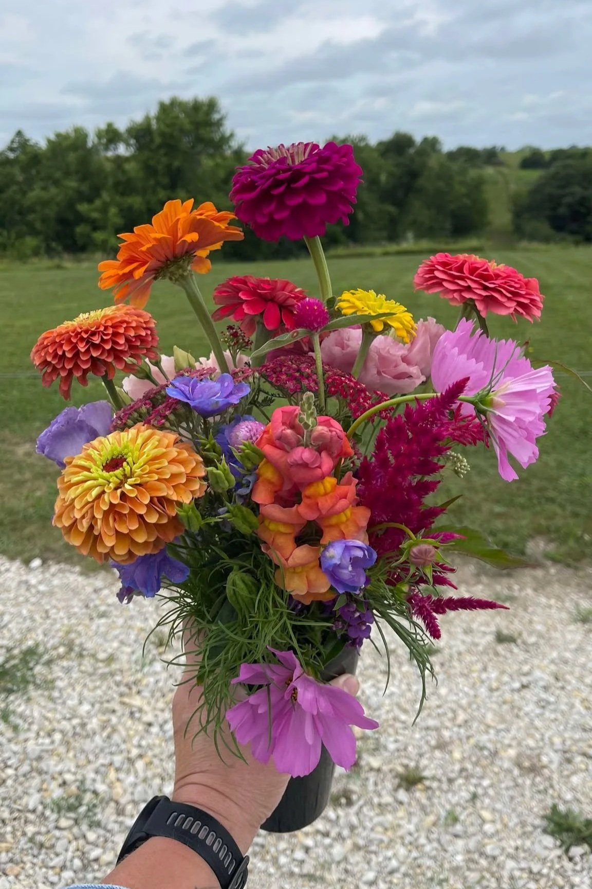 Rooted & Blooming — Founding Cohort