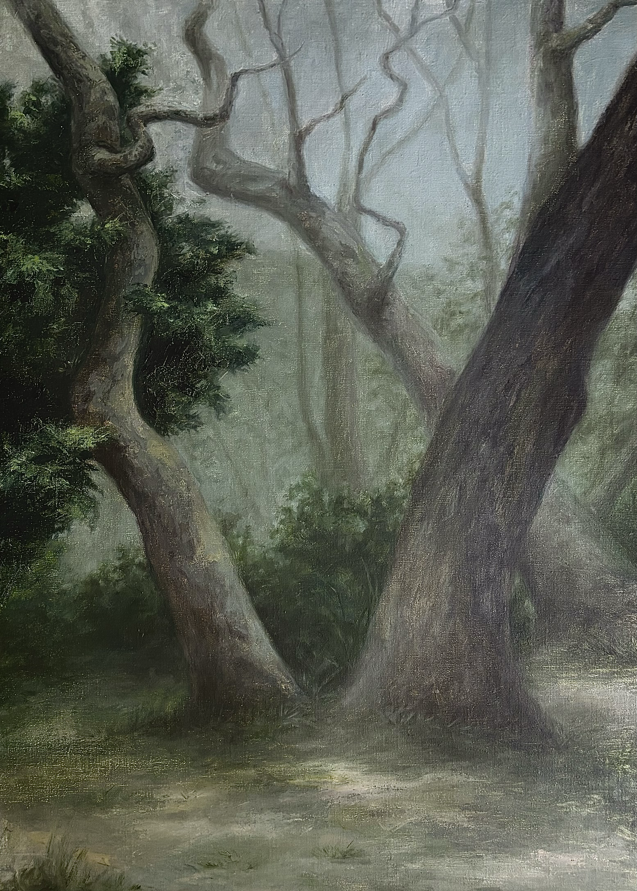Split Haze, 16x20 oil on linen (2024)