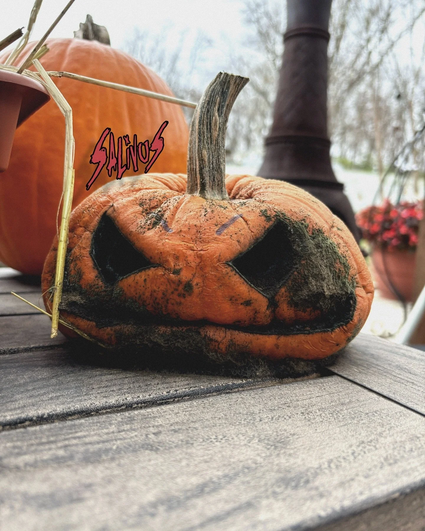 Into the midst of Fall 🍂 with remnants of Halloween in the air, the best time to hunker down and WRITE SUM LOUD MUSIK! 🤘☠️
This pumpkin was subjected to hours of heavy metal practice every week, radiating from The Shed. We don’t think they r