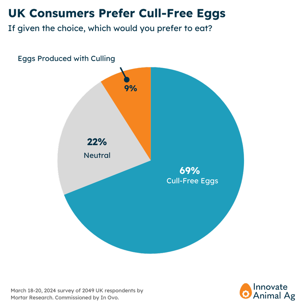 UK Interest in Eggs.png