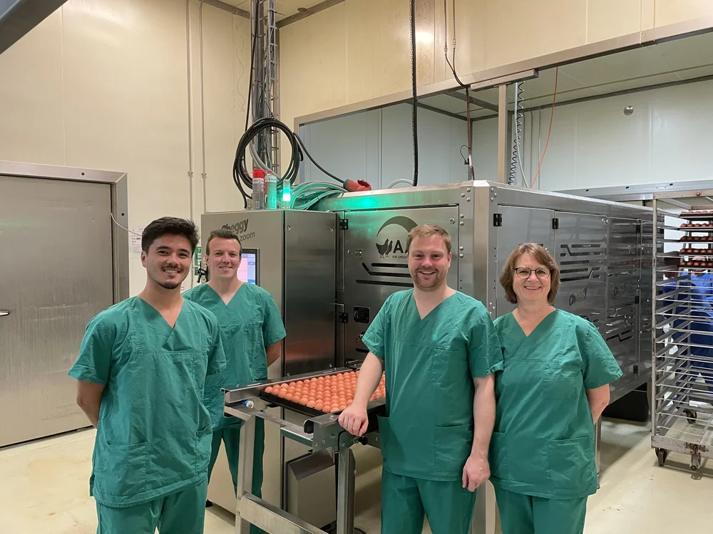 Lohmann Deutschland Hatchery in Dorum, Germany