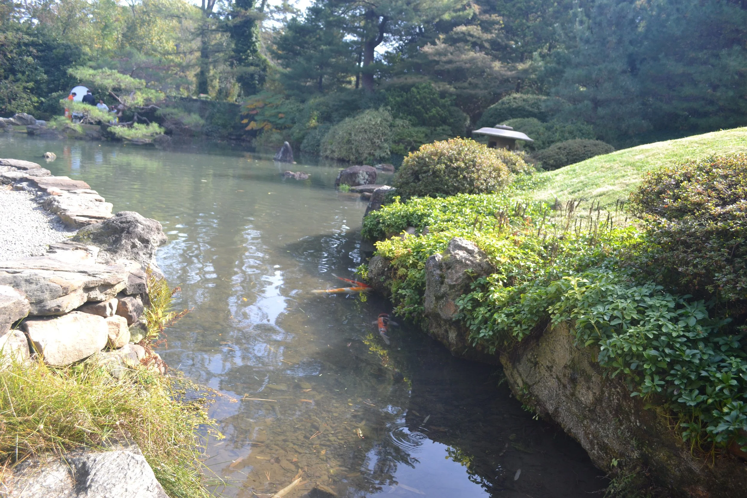DSC_9215.JPG