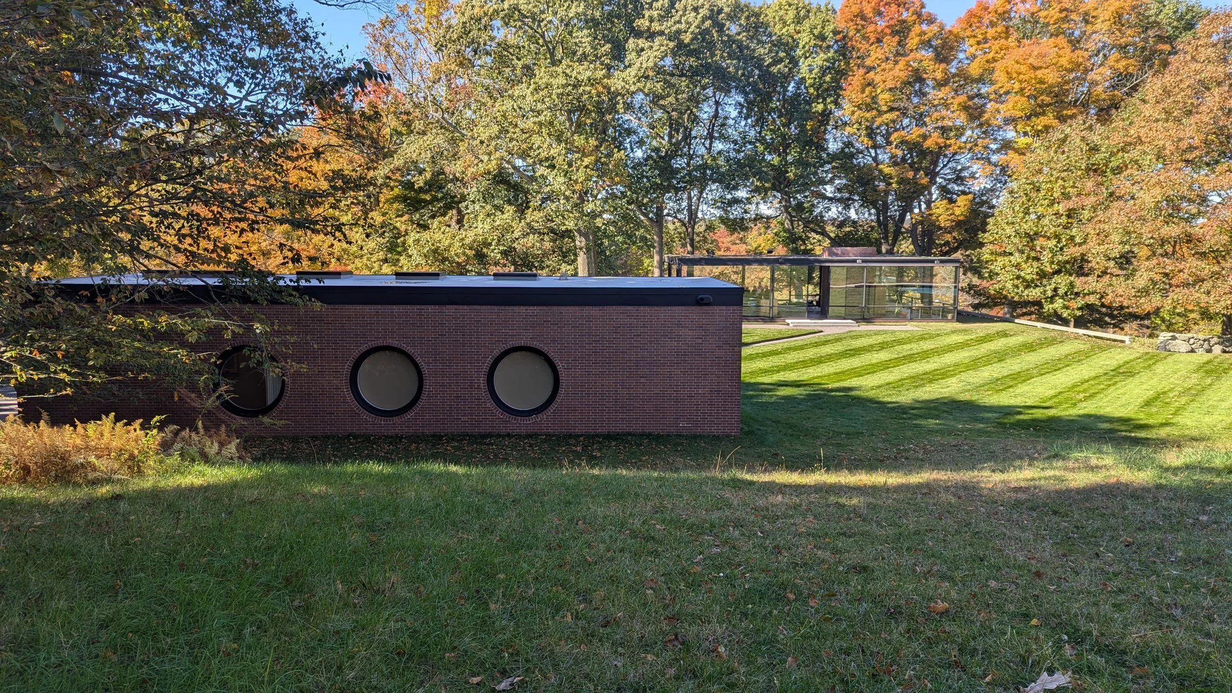 PXL_20241018_154959330.jpg