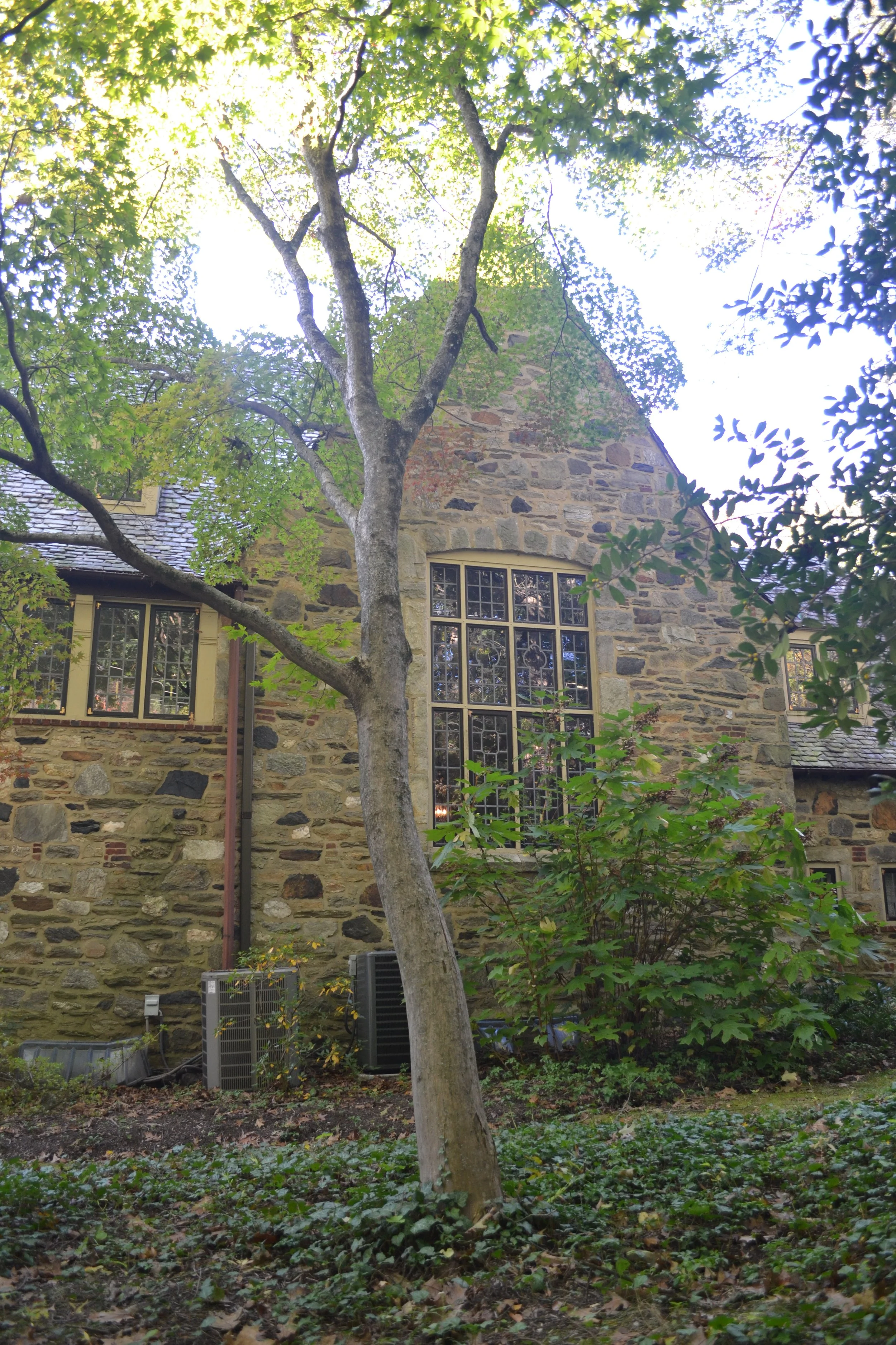 DSC_9165.JPG