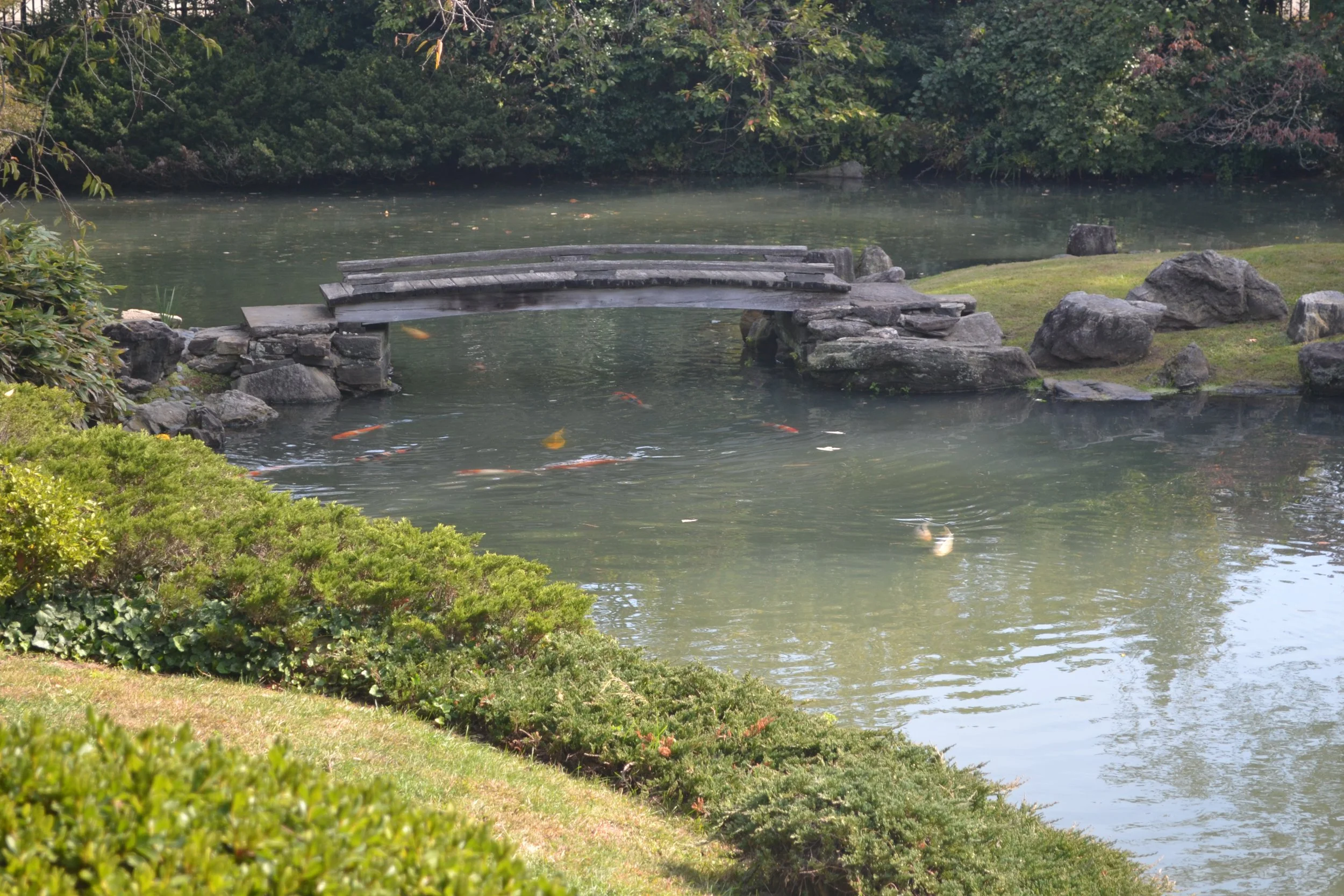 DSC_9197.JPG