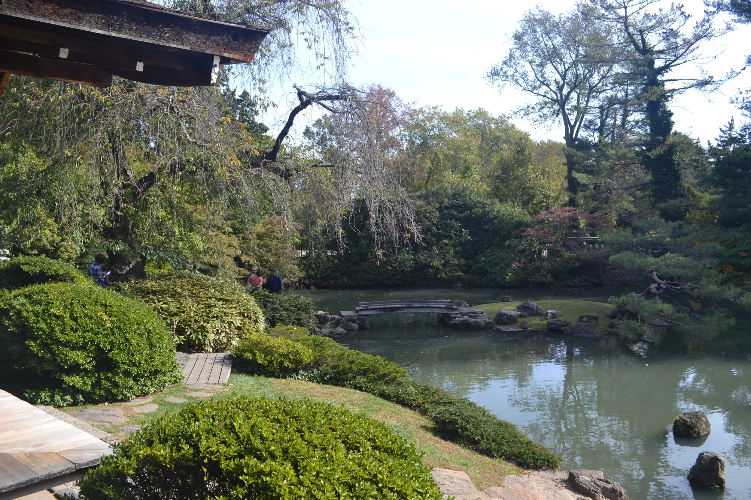 DSC_9194.JPG