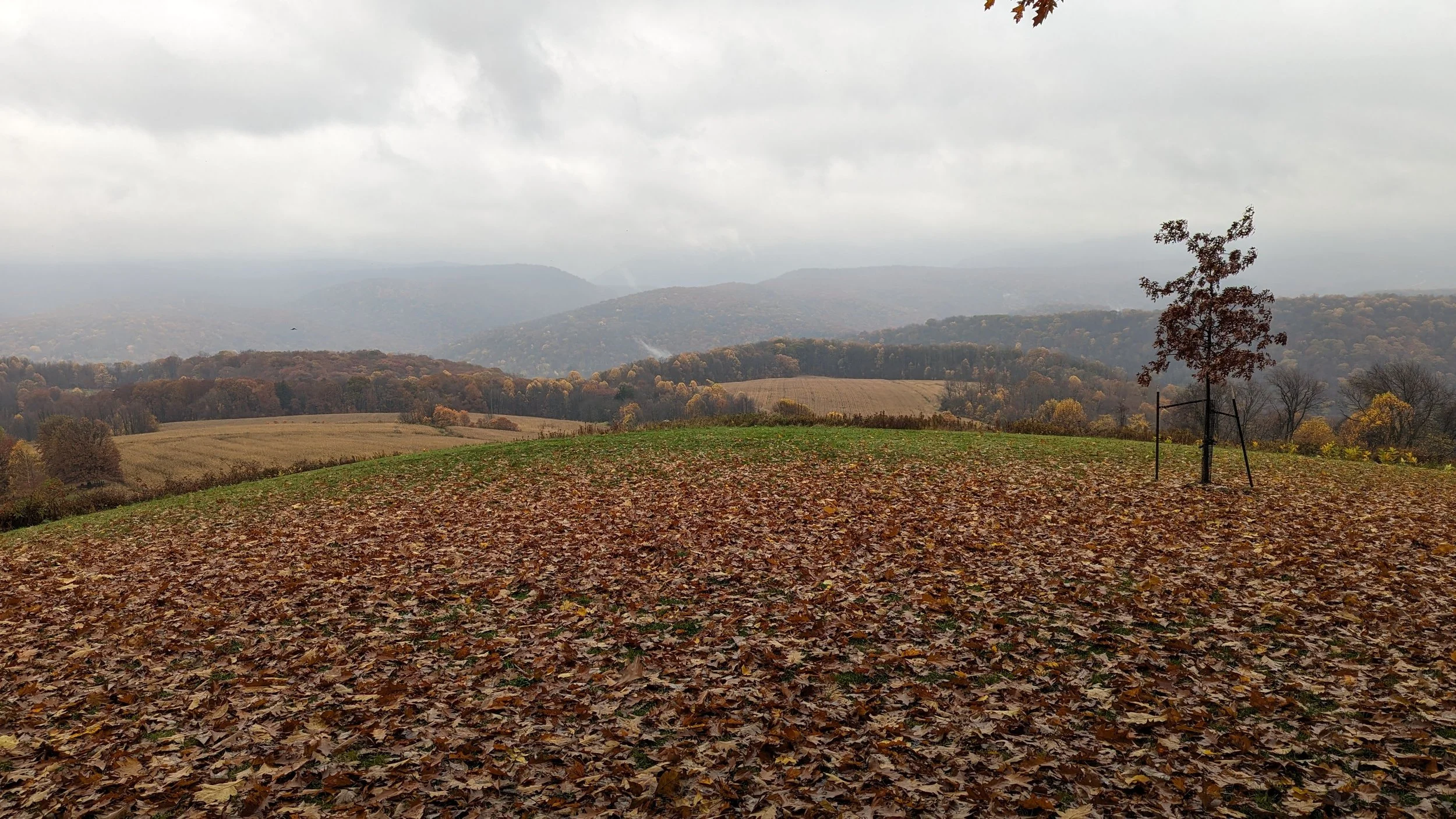 PXL_20231029_183806893.jpg