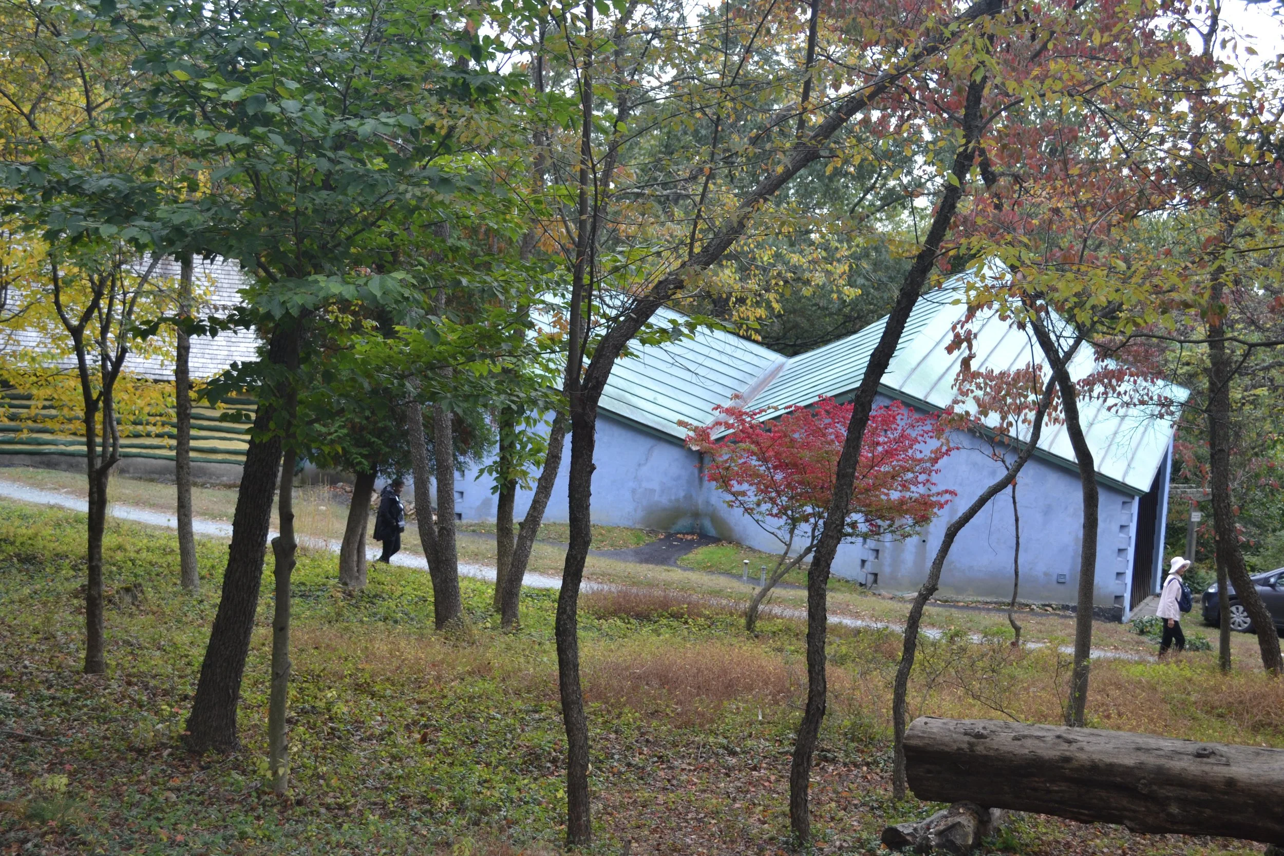 DSC_9119.JPG