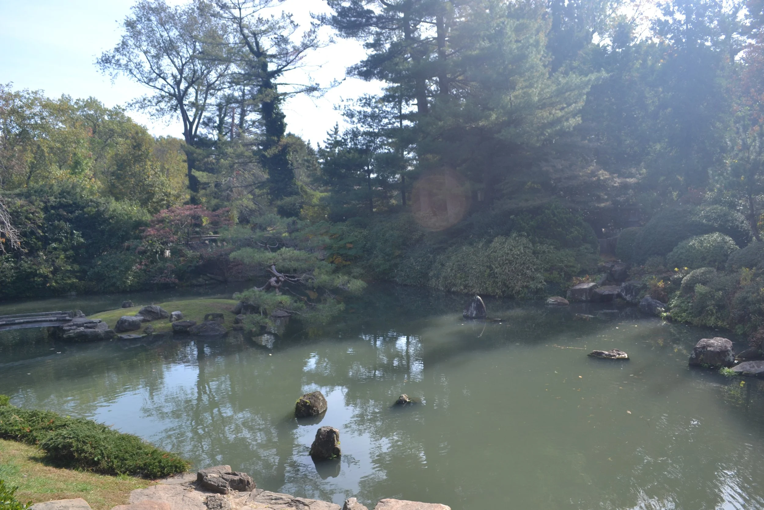 DSC_9195.JPG