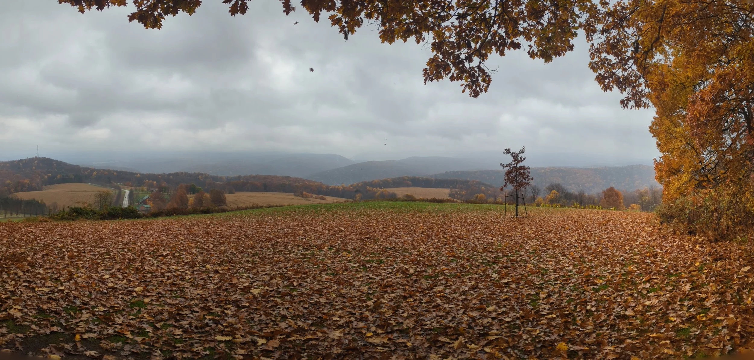 PXL_20231029_183937801.PANO.jpg