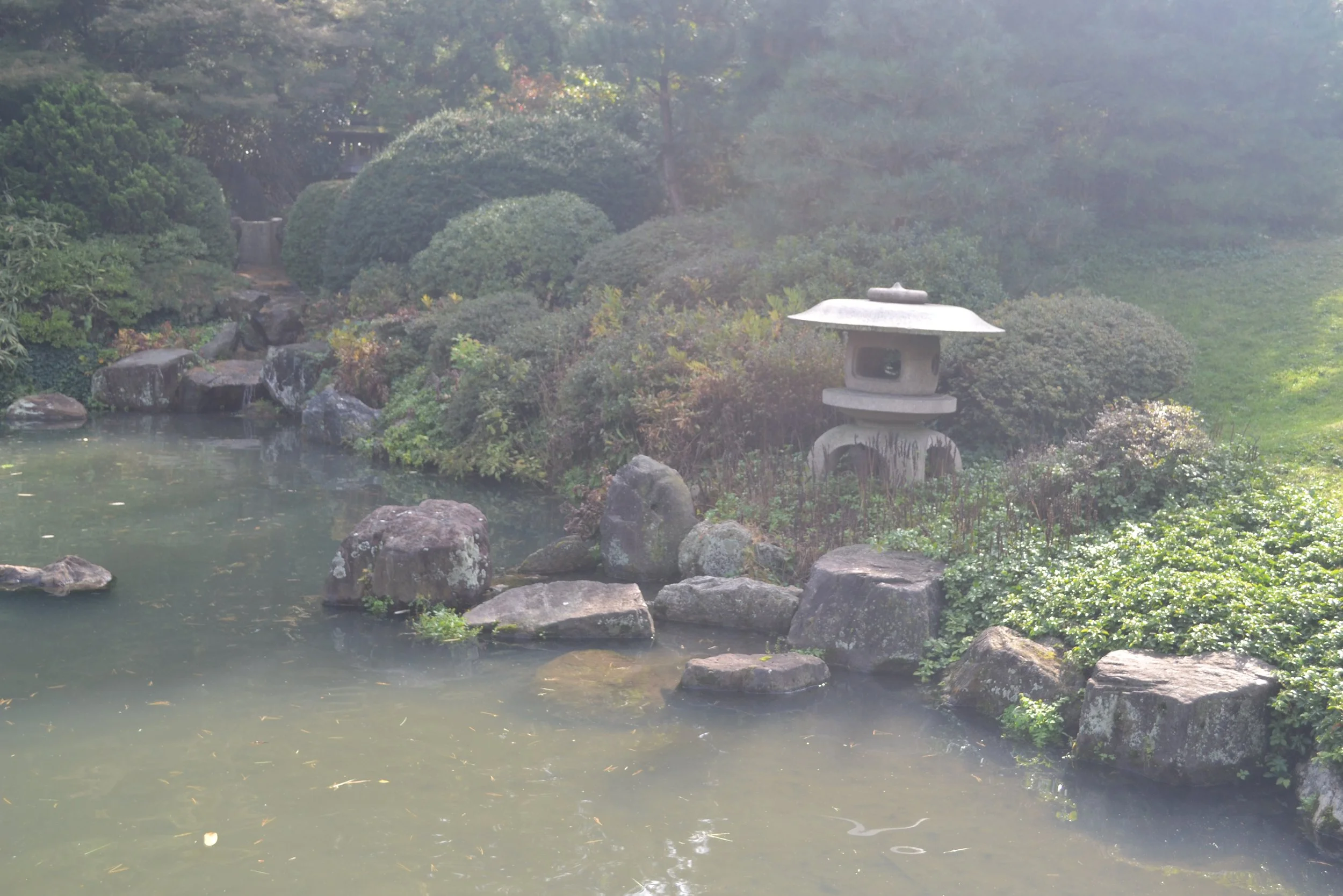 DSC_9218.JPG
